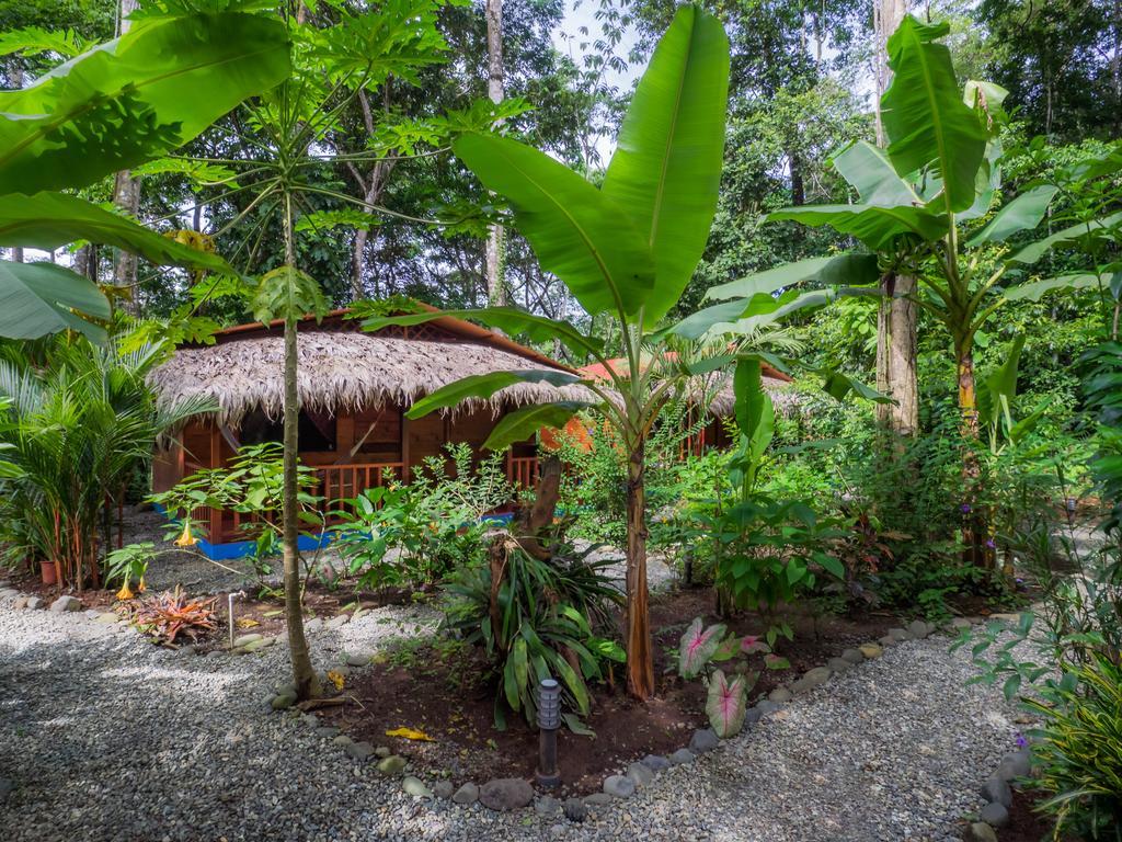 Casitas Las Flores Puerto Viejo de Talamanca Habitación foto